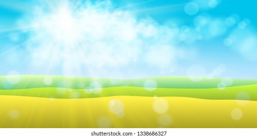 Summer warm background with sun and green field of grass. Vector.