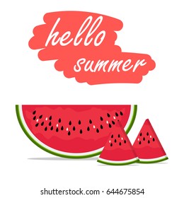 summer watermelon vector