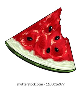 Summer Watermelon Vector Illustration