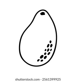 Summer whole avocado. Hand drawn doodle fruit illustration.