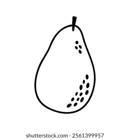 Summer whole avocado. Hand drawn doodle fruit illustration.