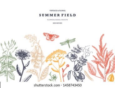 Summer wild flowers background. Floral card or invitation design. Hand drawn herbs, weeds and meadows. Vintage flowers with insects drawings. Vector template with botanical elements. Outlines 