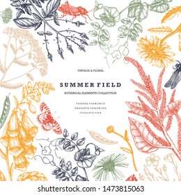 Summer wild flowers wreath. Floral card or invitation template. With hand drawn herbs, weeds and meadows. Vintage flowers with insects drawings. Botanical design in engraved style. Vector outlines