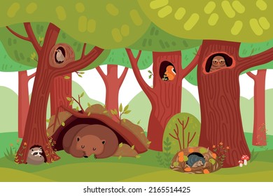 Summer wildlife cartoon background with forest animals living in tree hollows and holes flat vector illustration