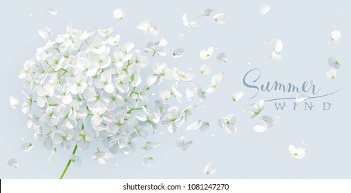 Summer wind - luxurious white vector Hydrangea flower and Apple blossom with flying petals in watercolor style for 8 March, wedding, Valentine's Day,  Mother's Day, sales and other seasonal events.