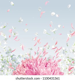 Summer wind - luxurious white vector Hydrangea flower, Apple blossom, Pink Chrysanthemums, background with flying petals in watercolor style