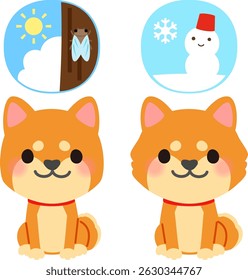 Summer and winter coats of a dog