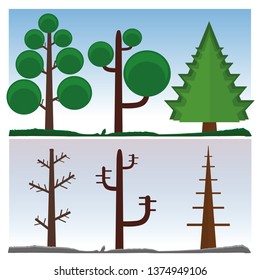 Summer and winter different trees.