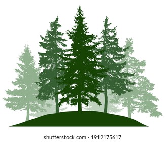 Summer woodland, silhouette of spruce trees. Beautiful nature, landscape. Vector illustration
