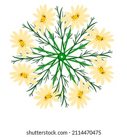 Corona de verano con flor chamomile