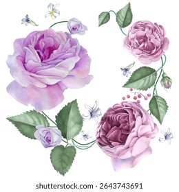 Summer Wreath of Roses and Strawberries. Watercolor illustration can be used for greeting cards, t-shirt printing, wallpaper.