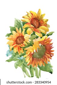 Summer yellow sunflowers bouquet watercolor vector illustration