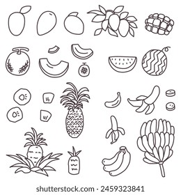 Summer-inspired tropical fruit illustration set