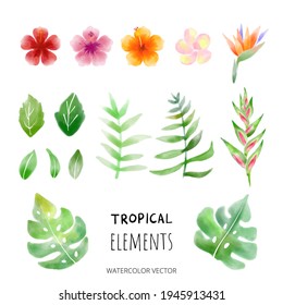 Summer-like tropical elements drawn in watercolors. Tropical frame vector set
