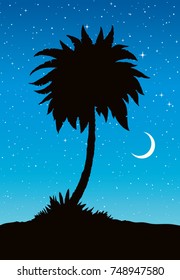 Summertime african rainforest scenic view with space for text on blue nightfall heaven backdrop. High old lush shrub twigs in desert oasis field. Graphic outdoor scenery picture
