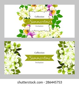 Summertime collection. Romantic botanical invitation. Greeting card with floral background.