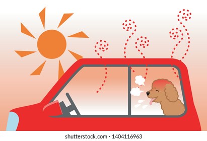 Summertime and the danger of leaving the dog in the car