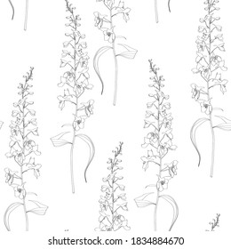 Summertime Delphinium seamless pattern. Flowers and plants of fields. Vintage botanical illustration. Black and white.