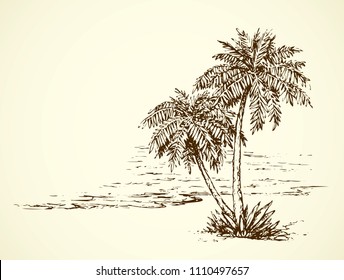 Summertime exotic scenic view with space for text on white sky backdrop. High lush coconut palmtree plant on bay. Freehand ink hand drawn picture sketchy in art retro scribble etch style pen on paper