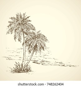 Summertime exotic scenic view and space for text on white sky backdrop. High lush coconut plant on bay. Freehand ink hand drawn picture sketchy in art retro scribble etching graphic style pen on paper