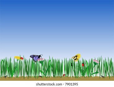 summertime in the grass fields, with or without the blue sky