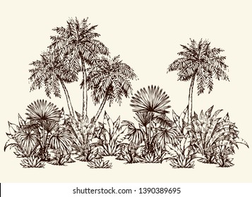 Summertime hot sunny Hawaii beach scenic view isolated on space for text on white sky backdrop. Freehand black hand drawn Lush shrub twig sketch pattern design symbol art doodle graphic vector style