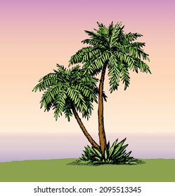 Summertime indian rainforest scenic view text space on pink sundown sky backdrop. High old coco palmtree lush frond bush twig grow scene. Bright green color hand drawn picture sketch art cartoon style