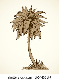 Summertime palmtree scenic view and space for text on white sky backdrop. Freehand ink hand drawn picture sketchy in art vintage scribble etching graphic style pen on paper