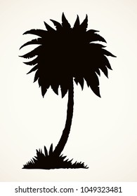 Summertime rainforest scenic view with space for text on white sky backdrop. High old lush palmtree twigs. Dark ink hand drawn picture logotype emblem in art vintage print graphic style