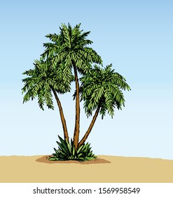 Summertime rainforest scenic view and space for text on blue sky backdrop. High old lush shrub twig. Bright green hand drawn tourism picture sketch design in art vintage doodle graphic print style