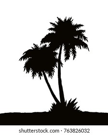 Summertime rainforest scenic view with space for text on white sky backdrop. High old lush palmtree twigs. Dark ink hand drawn picture logotype emblem in art vintage print graphic style