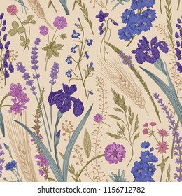 Summertime. Seamless pattern. Flowers and plants of fields and forests. Vector vintage botanical illustration.