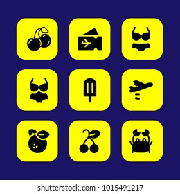 Summertime vector icon set. swimsuit, ice cream, plane ticket and airplane