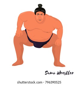 Sumo wrestler. Sport. Vector illustration 