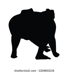 Sumo wrestler in traditional rack, vector