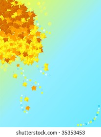 Sun background with a autumnal maple leaves