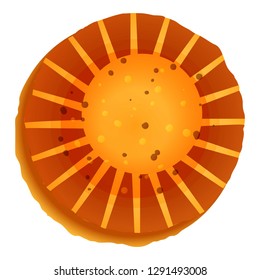 Sun biscuit icon. Cartoon of sun biscuit vector icon for web design isolated on white background