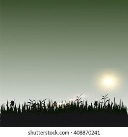 Sun Brightly Over Grass silhouette