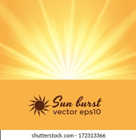 Sun burst background with space for text - Shutterstock ID 172313366
