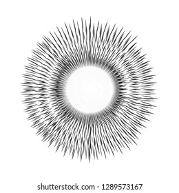 Sun burst, star burst sunshine. Radiating from the center of thin beams, lines. Vector illustration. Design element for logo, signs Dynamic style Abstract explosion, speed motion lines from the middle