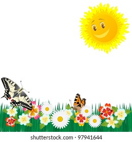 The sun, butterflies and wildflowers. The illustration on a white background.
