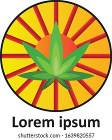 Sun Cannabis Marijuana Logo Vector Design