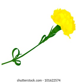 Sun Carnation