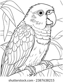 Sun Conure coloring page for kids