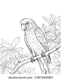 Sun Conure forest coloring page