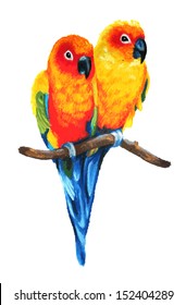 Sun Conure or Sun Parakeet birds are tropical colorful parrots found in Brazil and South America. This vector is of a couple perched on a branch and in love in a cute hand painted oil pastel drawing. 