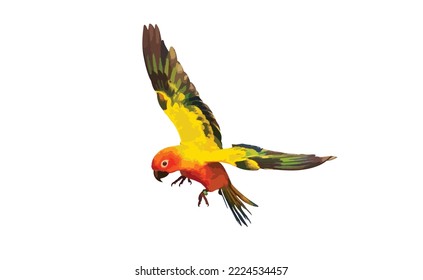 Sun conure or sun parakeet flying isolated on white background. Vector Illustration