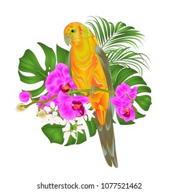 Sun Conure Parrot tropical bird standing on a purple orchid  Phalaenopsis and palm, phiodendronon a white background vector illustration editable hand draw