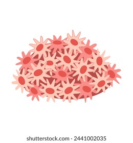 Corales solares, pólipos solares. Colonias de coral. Fauna de aguas tropicales. Arrecife de coral exótico dibujado a mano bajo el agua de la naturaleza. Ilustración vectorial en un estilo plano aislado sobre un fondo blanco.