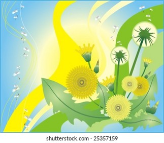 sun dandelions